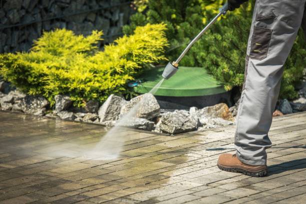 Best Pool Deck Cleaning  in Asbury, IA